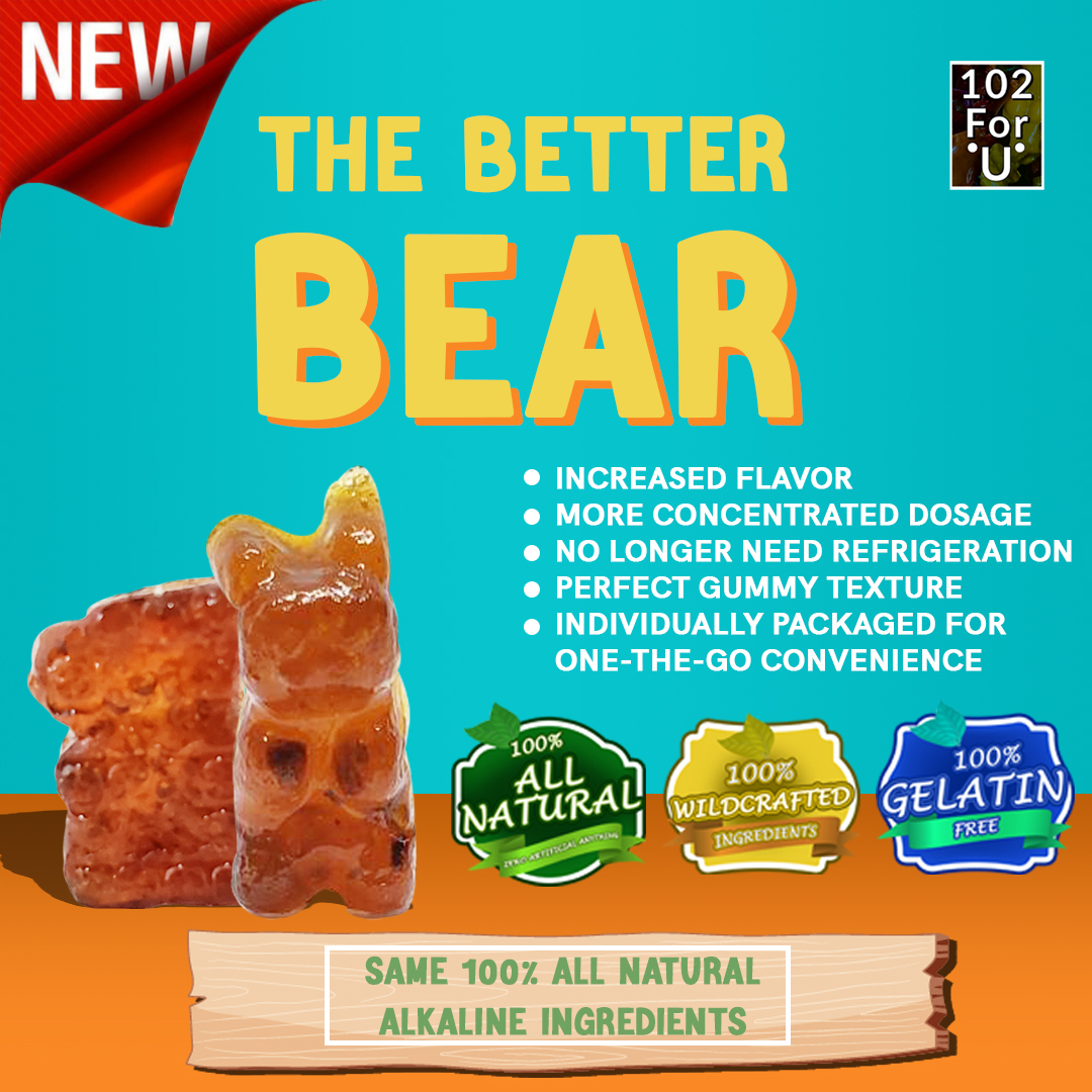 Better Bear e-commerce social media design by Albert.Creative — image 5 of 5